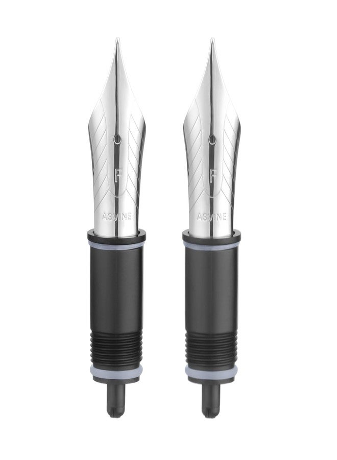 Asvine Set of 2 Number 8 Fountain Pen Replacement Fine Nibs - Compatible with C2000, V800 and C80- Silver - Image 1